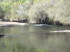 Nice trout spot Nice trout spot